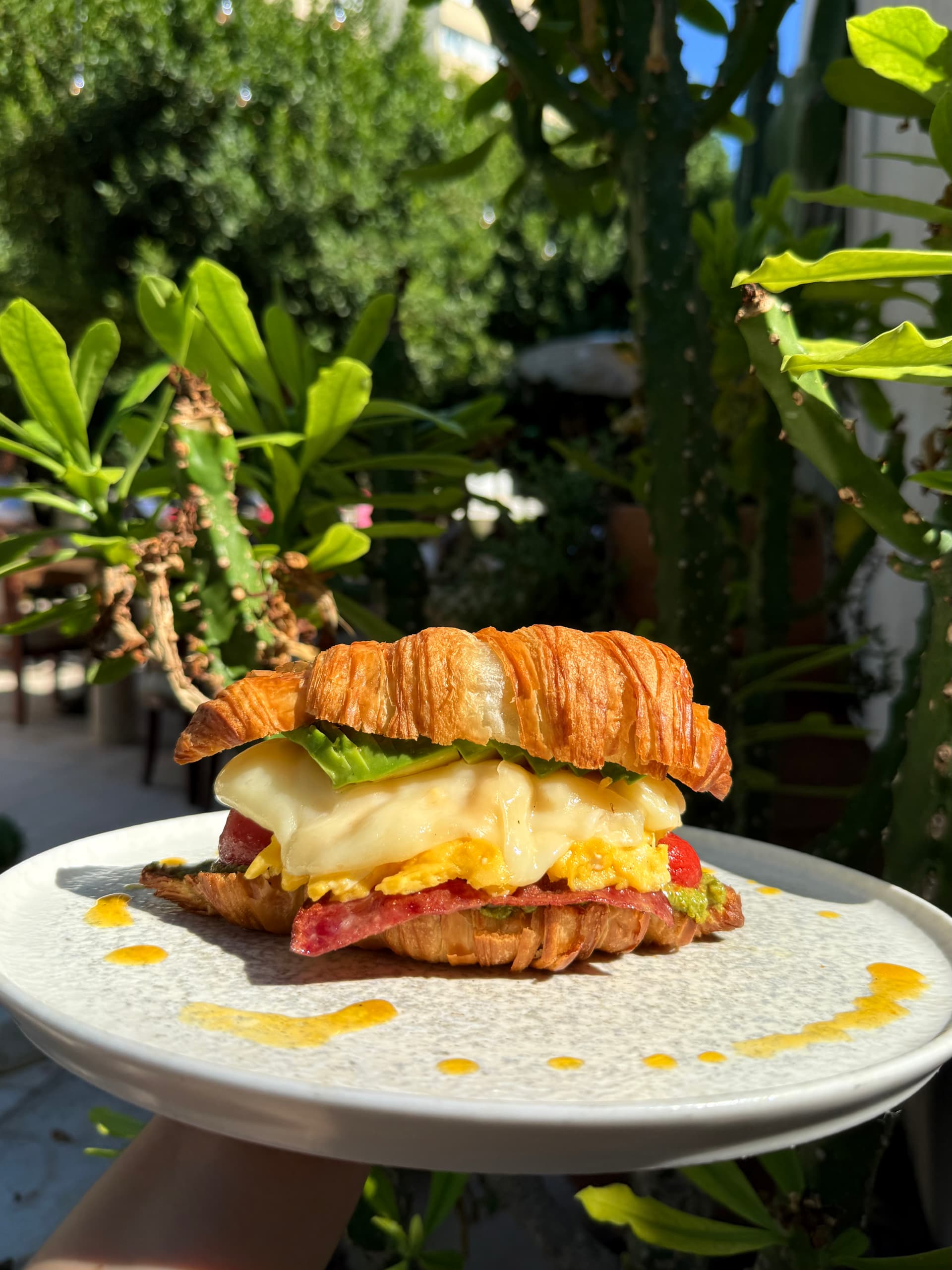 Croissant Sandwich 