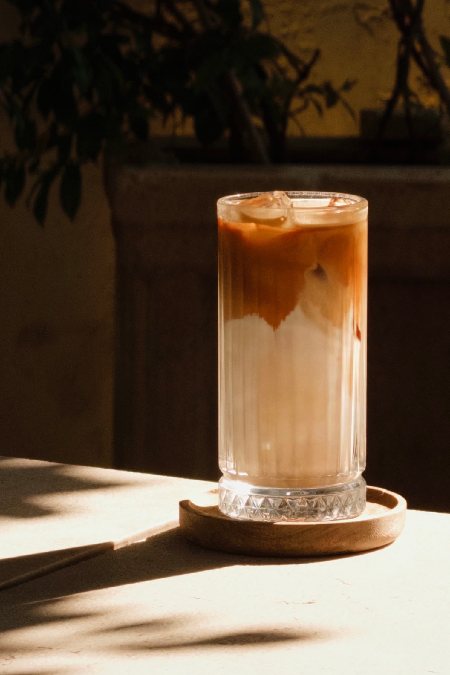 Iced Latte